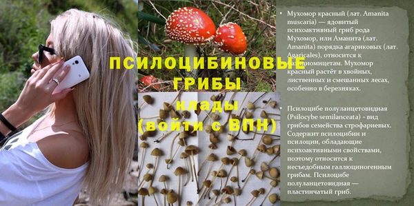 ПСИЛОЦИБИНОВЫЕ ГРИБЫ Аркадак