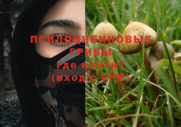 ПСИЛОЦИБИНОВЫЕ ГРИБЫ Аркадак