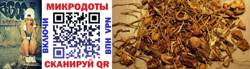 Купить  Харабали  Псилоцибиновые грибы MAGIC MUSHROOMS 